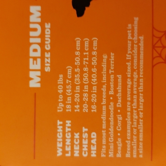 Hyde & EEK! Boutique™ Witch with Toy Frog Costume - Size M - Picture 7 of 8